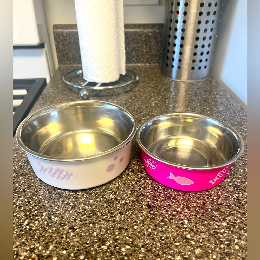 Cat bowls